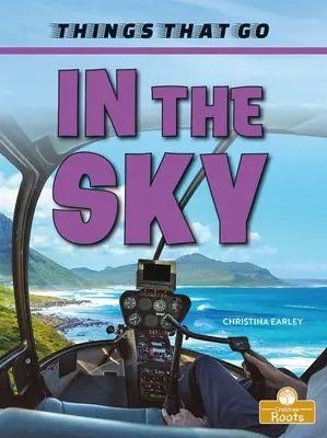 În cer - In the Sky