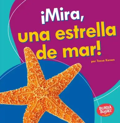 Mira, Una Estrella de Mar! (Uite, o stea de mare!) - Mira, Una Estrella de Mar! (Look, a Starfish!)