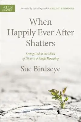 Când fericirea de până la adânci bătrâneți se spulberă: Seeing God in the Midst of Divorce & Single Parenting - When Happily Ever After Shatters: Seeing God in the Midst of Divorce & Single Parenting