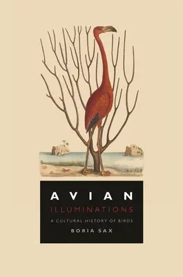 Iluminări aviare: O istorie culturală a păsărilor - Avian Illuminations: A Cultural History of Birds