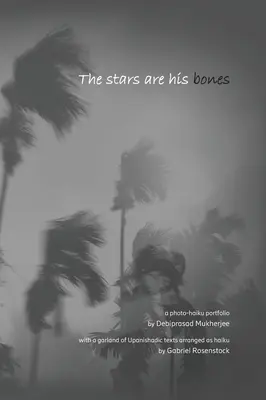 Stelele sunt oasele lui: o monografie foto-haiku atmosferică cu extrase Upanishadice - The stars are his bones: an atmospheric photo-haiku monograph with Upanishadic extracts