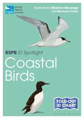 Rspb Id Spotlight - Păsări de coastă - Rspb Id Spotlight - Coastal Birds