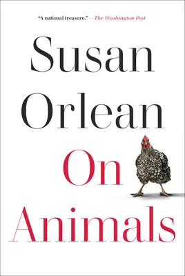 Despre animale - On Animals