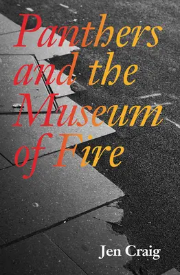 Panterele și Muzeul Focului (Panthers and the Museum of Fire) - Panthers and the Museum of Fire