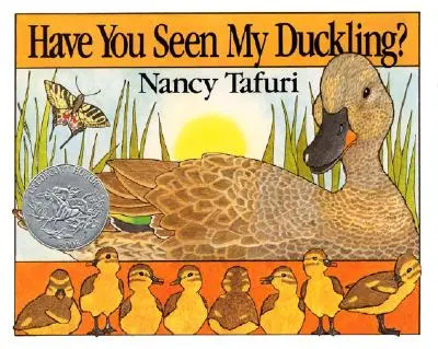 Mi-ai văzut rățușca? - Have You Seen My Duckling?