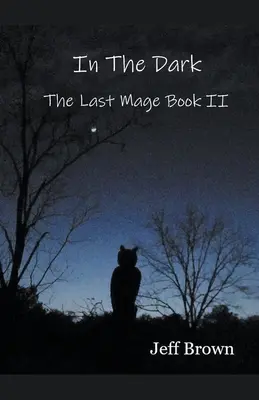 În întuneric: Ultimul magician Cartea a II-a - In The Dark: The Last Mage Book II