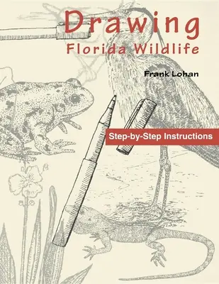 Desenarea vieții sălbatice din Florida - Drawing Florida Wildlife