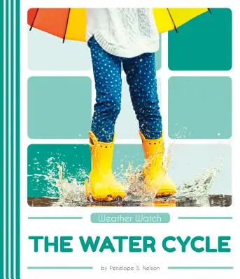 Ciclul apei - The Water Cycle