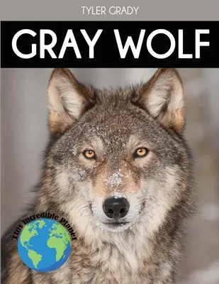 Lupul cenușiu: Fapte fascinante despre animale pentru copii - Gray Wolf: Fascinating Animal Facts for Kids