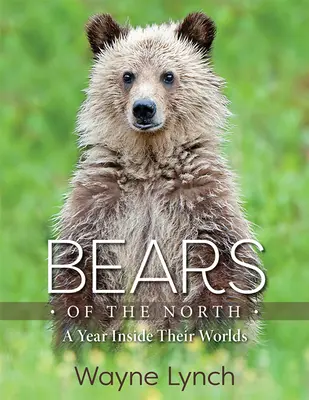 Urșii din Nord: Un an în lumea lor - Bears of the North: A Year Inside Their Worlds