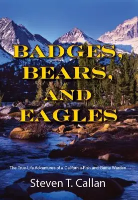 Insigne Urși și vulturi - Badges Bears and Eagles