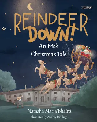 Reindeer Down!: O poveste irlandeză de Crăciun - Reindeer Down!: An Irish Christmas Tale