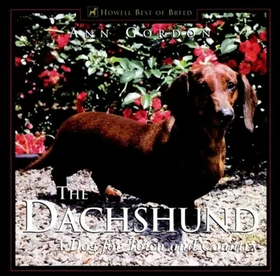 Teckelul: Un câine pentru oraș și țară - The Dachshund: A Dog for Town and Country