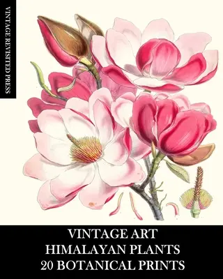 Vintage Art: Himalayan Plants 20 printuri botanice: Ephemera for Framing, Collage, Decoupage and Junk Journals - Vintage Art: Himalayan Plants 20 Botanical Prints: Ephemera for Framing, Collage, Decoupage and Junk Journals