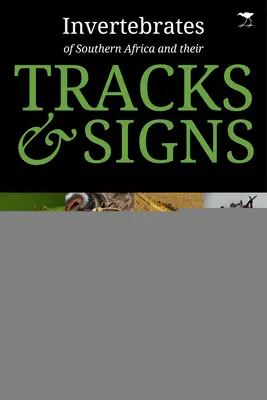 Invertebratele din Africa de Sud și urmele și semnele lor - Invertebrates of Southern Africa & Their Tracks and Signs