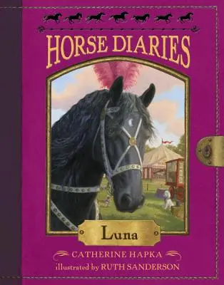 Jurnal de cal #12: Luna - Horse Diaries #12: Luna