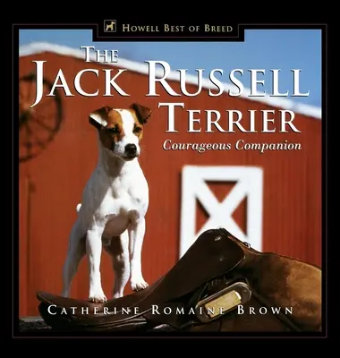 Jack Russell Terrier: Însoțitor curajos - The Jack Russell Terrier: Courageous Companion
