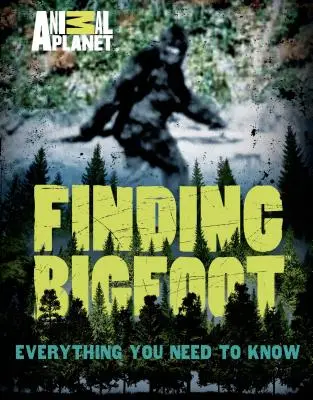 În căutarea lui Bigfoot: Tot ce trebuie să știți - Finding Bigfoot: Everything You Need to Know