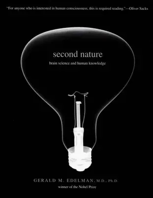 A doua natură: Știința creierului și cunoașterea umană - Second Nature: Brain Science and Human Knowledge