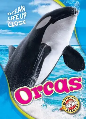 Orci - Orcas