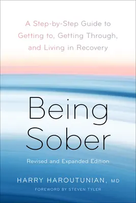 Being Sober: A Step-By-Step Guide to Getting To, Getting Through, and Living in Recovery, Revized and Expanded - Being Sober: A Step-By-Step Guide to Getting To, Getting Through, and Living in Recovery, Revised and Expanded