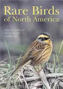 Păsări rare din America de Nord - Rare Birds of North America