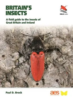 Britain's Insects: A Field Guide to the Insects of Great Britain and Ireland (Ghidul insectelor din Marea Britanie și Irlanda) - Britain's Insects: A Field Guide to the Insects of Great Britain and Ireland