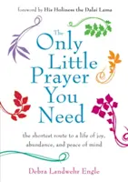 Singura mică rugăciune de care ai nevoie: Cea mai scurtă cale către o viață plină de bucurie, abundență și pace sufletească - Only Little Prayer You Need: The Shortest Route to a Life of Joy, Abundance, and Peace of Mind