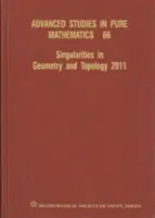 Singularități în geometrie și topologie 2011 - Singularities in Geometry and Topology 2011