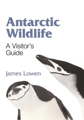 Viața sălbatică din Antarctica: Un ghid al vizitatorului - Antarctic Wildlife: A Visitor's Guide