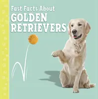 Fapte importante despre Golden Retriever - Fast Facts About Golden Retrievers