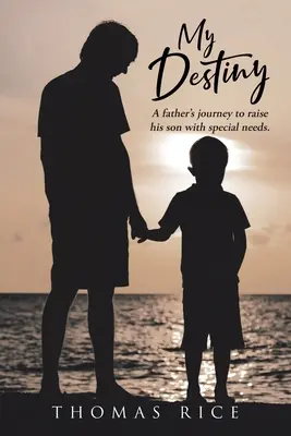 Destinul meu - My Destiny