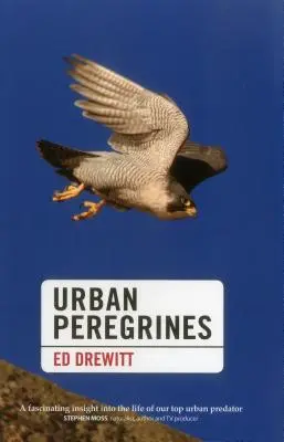 Peregrini urbani - Urban Peregrines