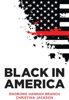 Negru în America: Paradoxul liniei de culoare - Black in America: The Paradox of the Color Line