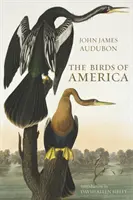 Păsările din America - Birds of America