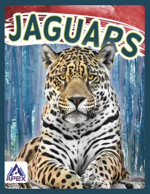 Jaguari - Jaguars