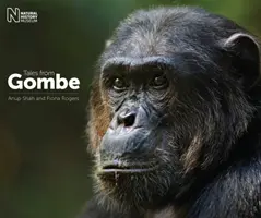 Povești din Gombe - Tales from Gombe
