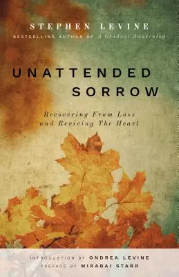 Durere nesupravegheată: Recuperarea după pierdere și revigorarea inimii - Unattended Sorrow: Recovering from Loss and Reviving the Heart