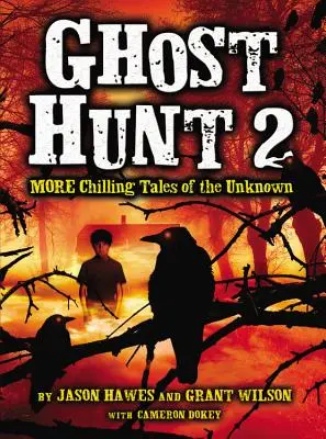 Vânătoarea de fantome 2: Mai multe povești înfricoșătoare ale necunoscutului - Ghost Hunt 2: More Chilling Tales of the Unknown