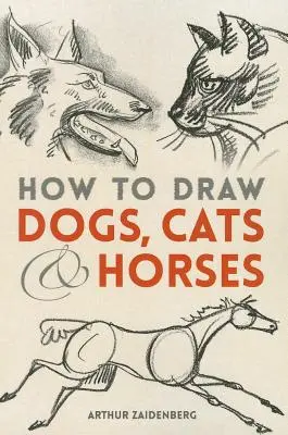 Cum să desenezi câini, pisici și cai - How to Draw Dogs, Cats and Horses