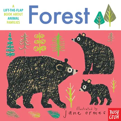 Familii de animale: Pădure - Animal Families: Forest