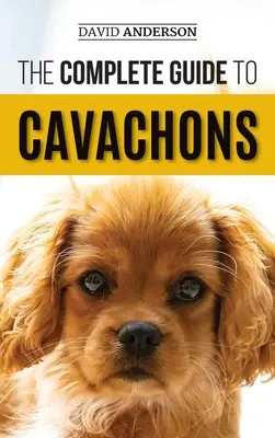 Ghidul complet pentru Cavachons: Alegerea, dresajul, învățarea, hrănirea și iubirea câinelui dumneavoastră Cavachon - The Complete Guide to Cavachons: Choosing, Training, Teaching, Feeding, and Loving Your Cavachon Dog