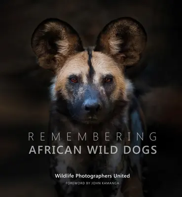 Amintirea câinilor sălbatici africani - Remembering African Wild Dogs