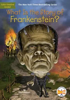 Care este povestea lui Frankenstein? - What Is the Story of Frankenstein?