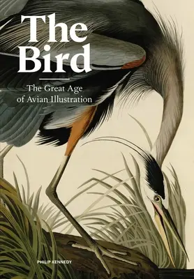 Pasărea: Marea epocă a ilustrației aviare - The Bird: The Great Age of Avian Illustration