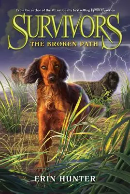 Supraviețuitorii #4: Calea frântă - Survivors #4: The Broken Path