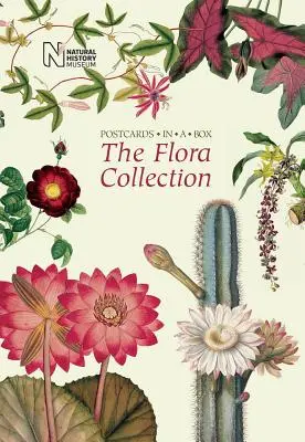 Colecția Flora: Cărți poștale într-o cutie - The Flora Collection: Postcards in a Box