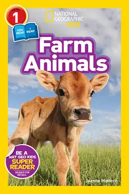 Animale de fermă - Farm Animals