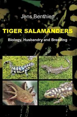 Salamandrele tigru - Tiger Salamanders