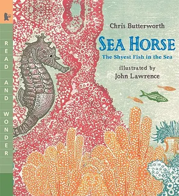 Căluțul de mare: cel mai timid pește din mare - Sea Horse: The Shyest Fish in the Sea